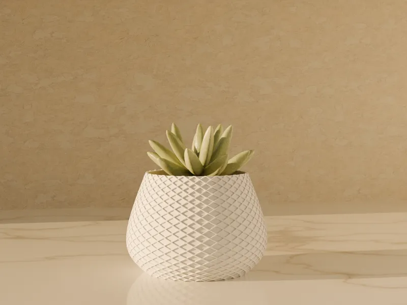 Small Plant Vase