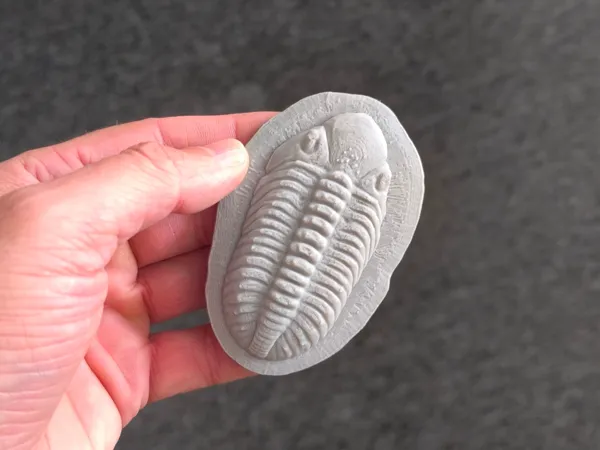 https://makerworld.bblmw.com/makerworld/model/US4bdc432dd37dea/design/2025-09-14_1d41ec4821029.jpg