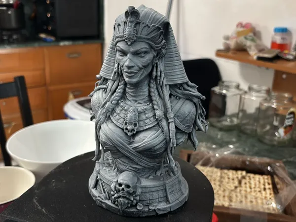 https://makerworld.bblmw.com/makerworld/model/US4bdc4b32cec9d1/design/e0030ff82c8f8f89.jpeg