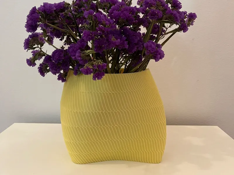 Freeform Vase