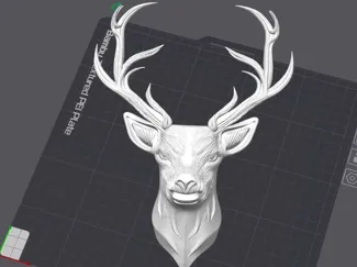 Deer