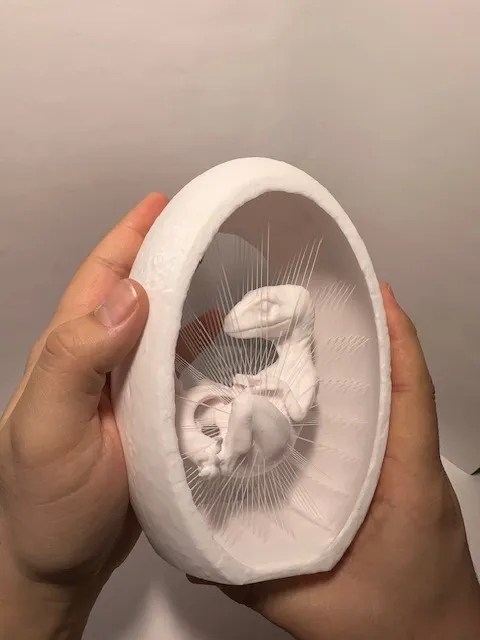 Raptor Embryo Suspended String Art