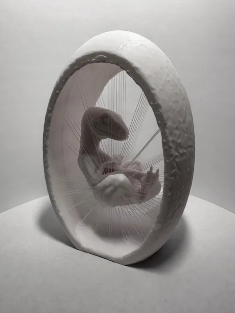 Raptor Embryo Suspended String Art view 2