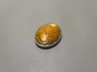 0.2mm 层高, 2 层墙, 100% 填充
