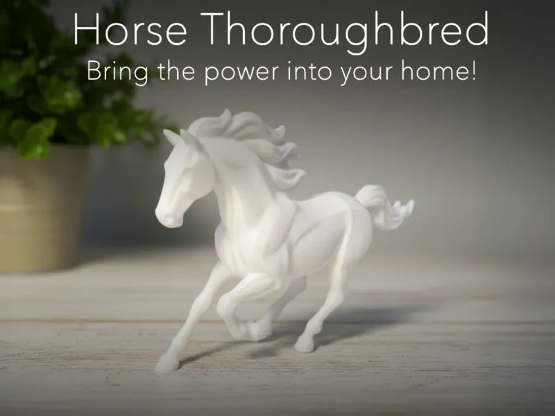 Galloping  Horse Thoroughbred
