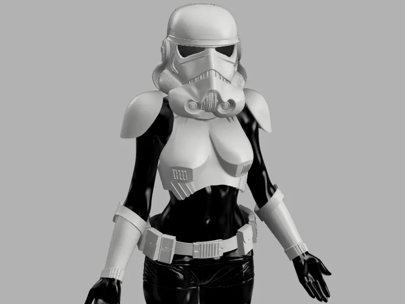 Sexy Female Imperial Stormtrooper Cosplay Armor