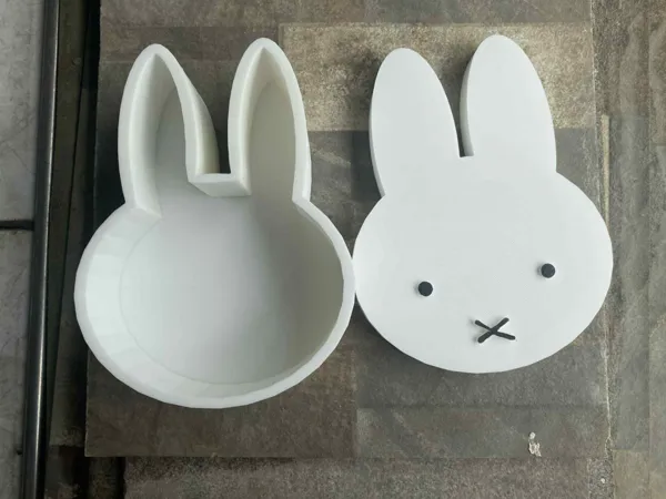https://makerworld.bblmw.com/makerworld/model/US4bf0e34b8640b/design/2025-07-27_89c2548230702.jpg