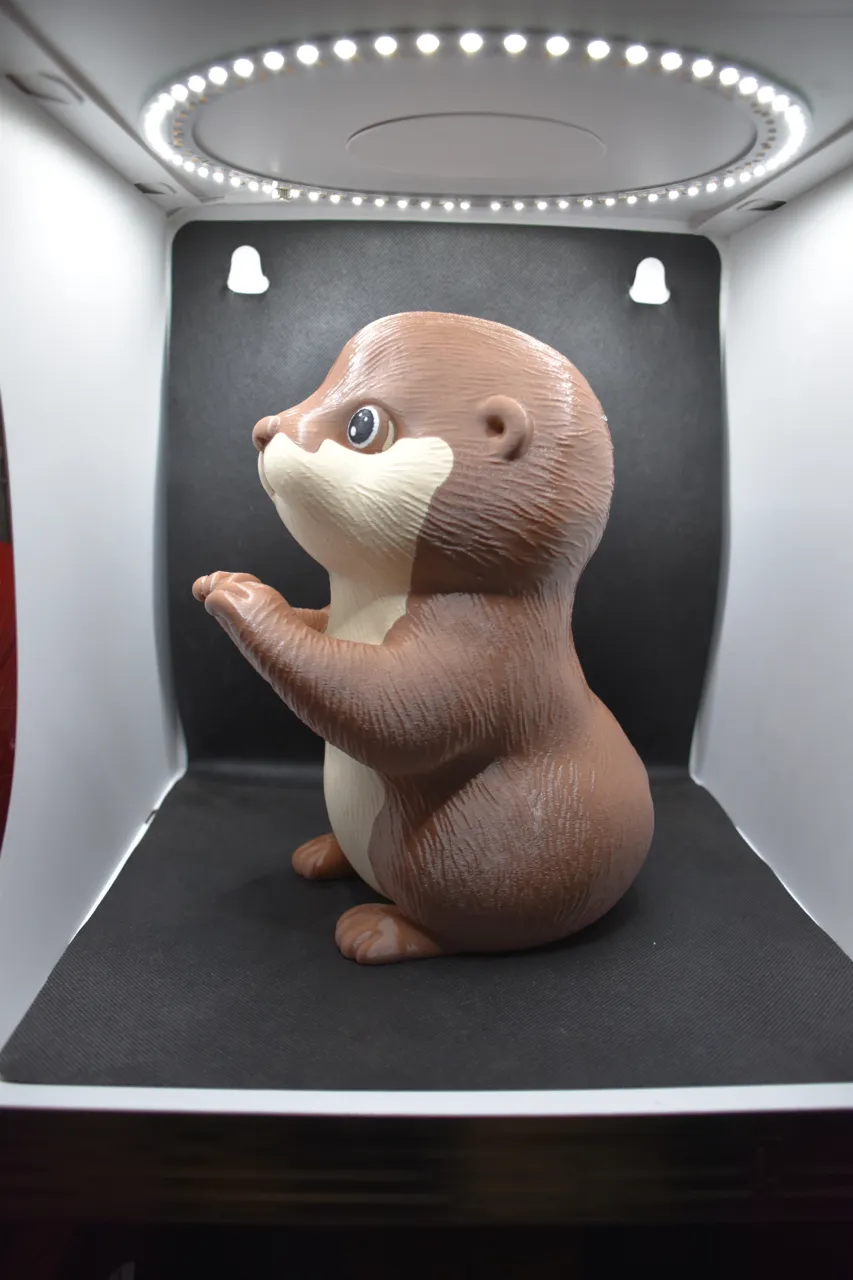 Heart of an Otter view 3