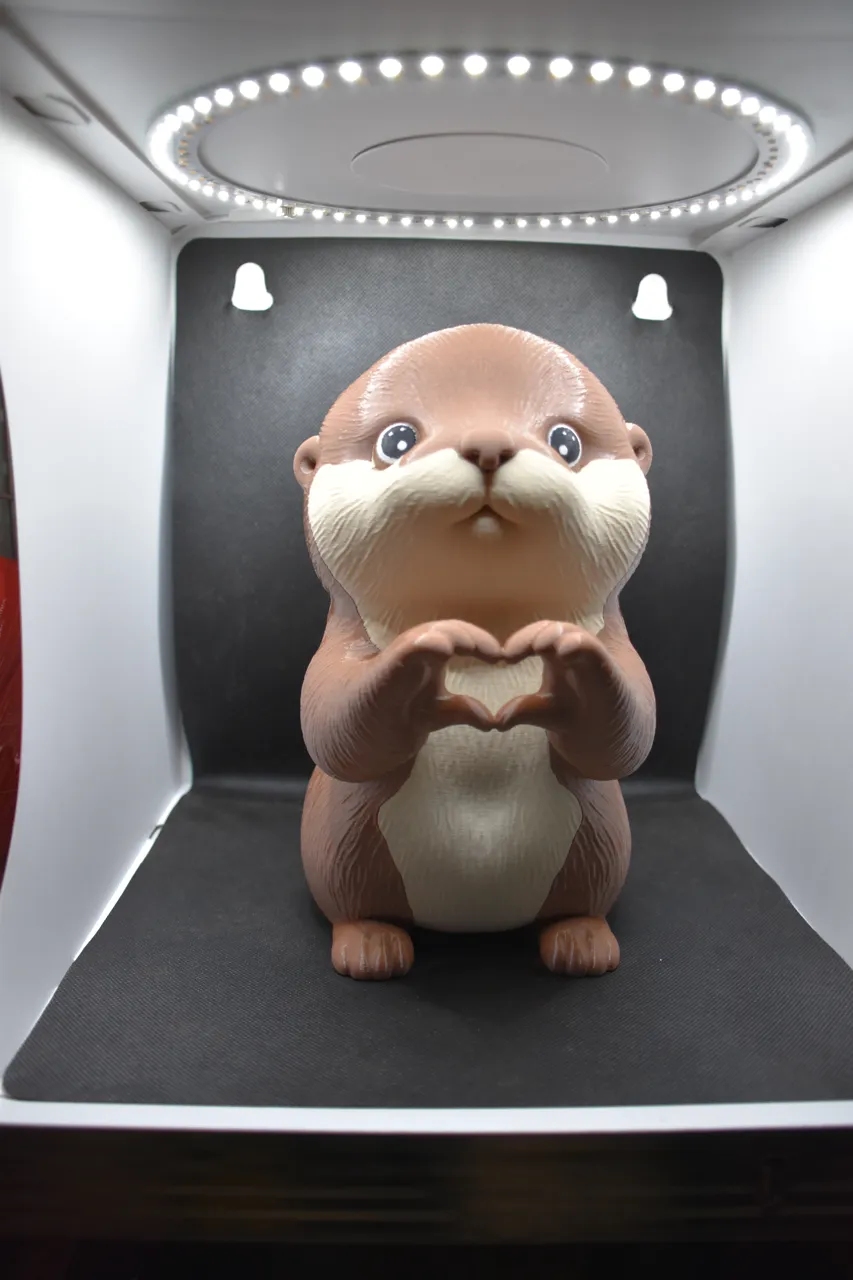 Heart of an Otter view 2
