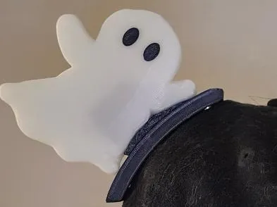 magnetic ghost