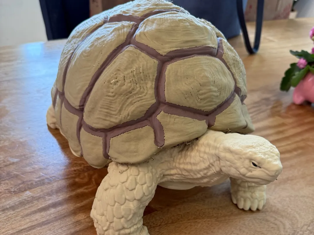 Giant Tortoise - High Detail - Free 3D Print Model - MakerWorld