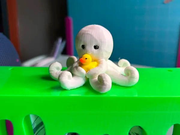 https://makerworld.bblmw.com/makerworld/model/US4bfb1f09e396a9/design/5a675150c019c789.jpg