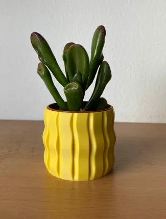 Suculent pot