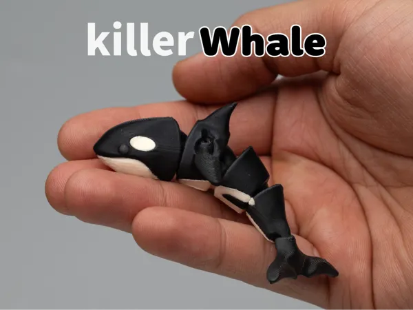 https://makerworld.bblmw.com/makerworld/model/US4bfef35036f441/design/70d02d35cfc27c58.jpg