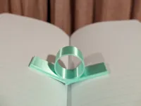 0.12mm layer, 2 walls, 25% infill
