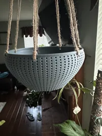 Jardinière suspendue avec réservoir vissable — photo 4