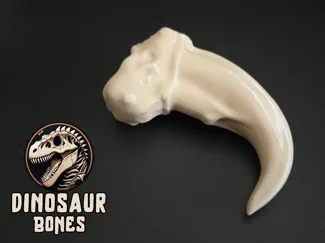 Velociraptor * Bone Claw *