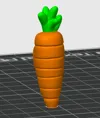 Carrot