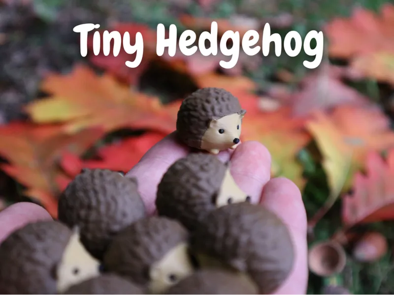 Cute Tiny Hedgehog & Keychain Version