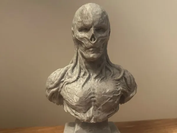 https://makerworld.bblmw.com/makerworld/model/US4c14847f75c416/design/2025-12-21_dd5876100632e8.jpg