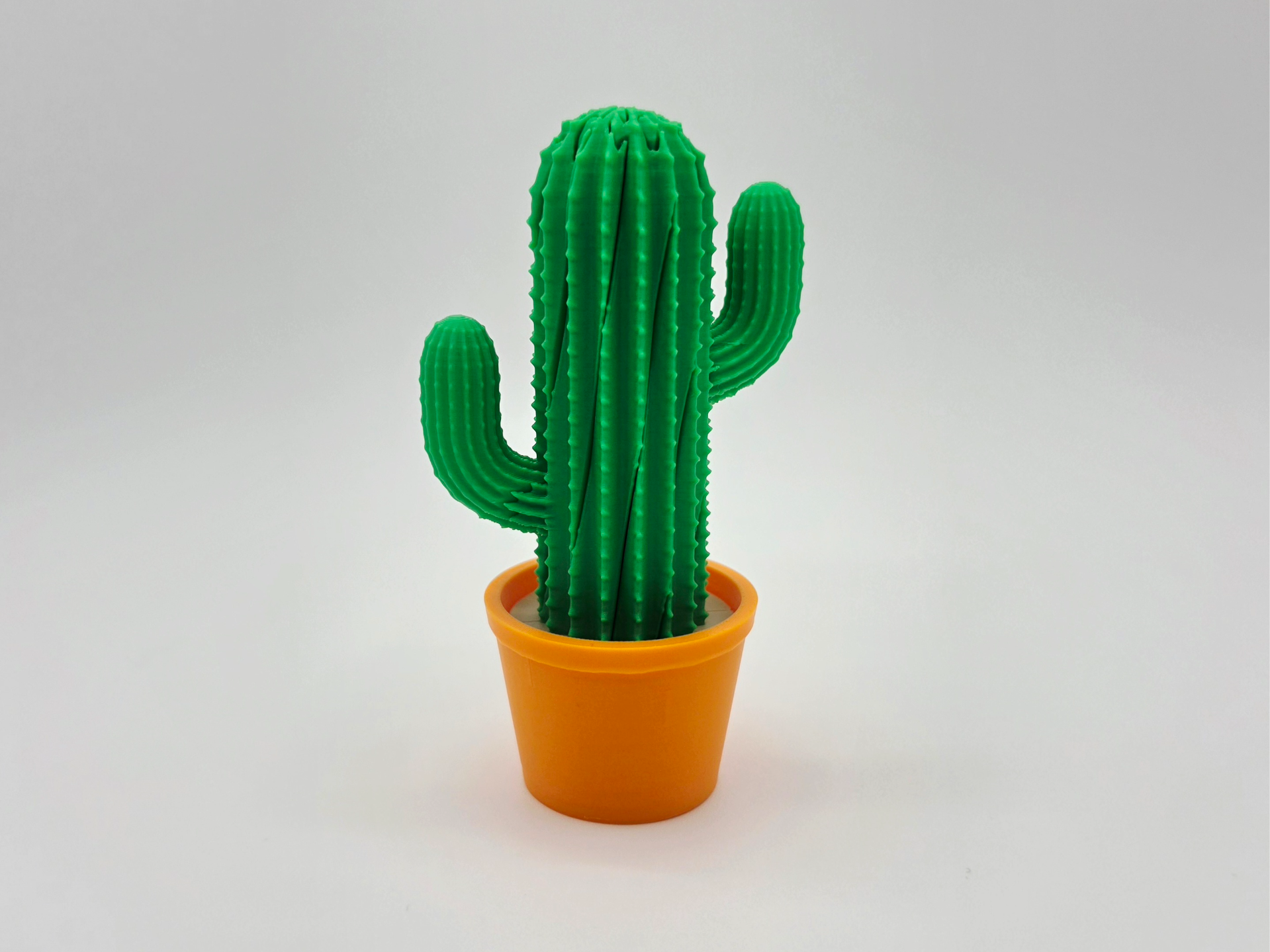 Cactus Twist Fidget - 3D printed Other Toys & Games, in stock in India