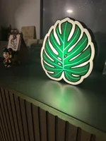 Lightbox feuille de Monstera — photo 2