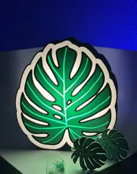 Lightbox feuille de Monstera — photo 4