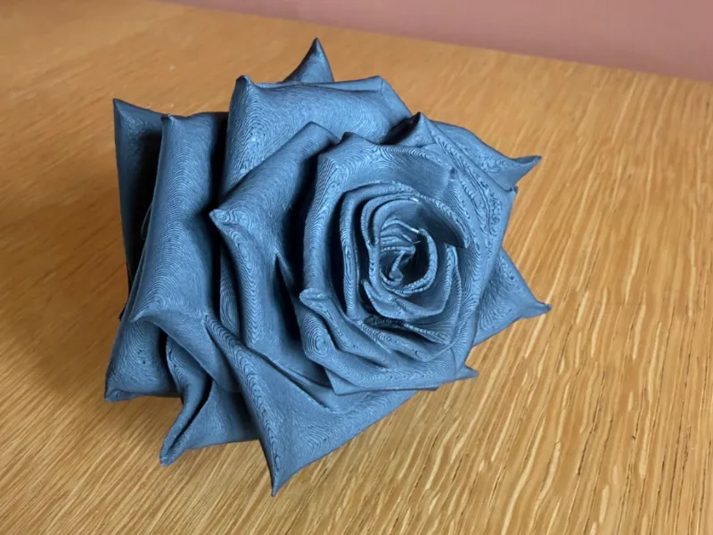 rose noire