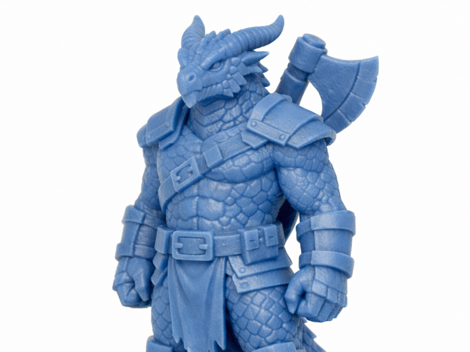 DnD - Dragonborn Krieger