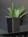 Deco Minivase