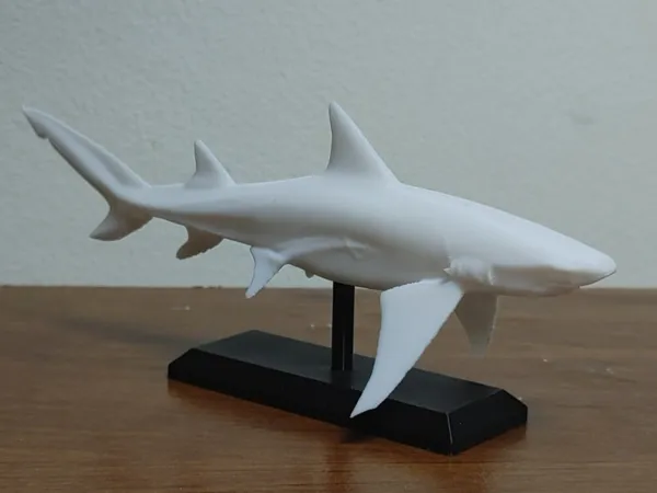 https://makerworld.bblmw.com/makerworld/model/US4c21eb999d3f42/design/2025-02-16_01957b8ab3a25.jpg