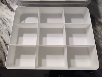 Tray insery/display for store and carry