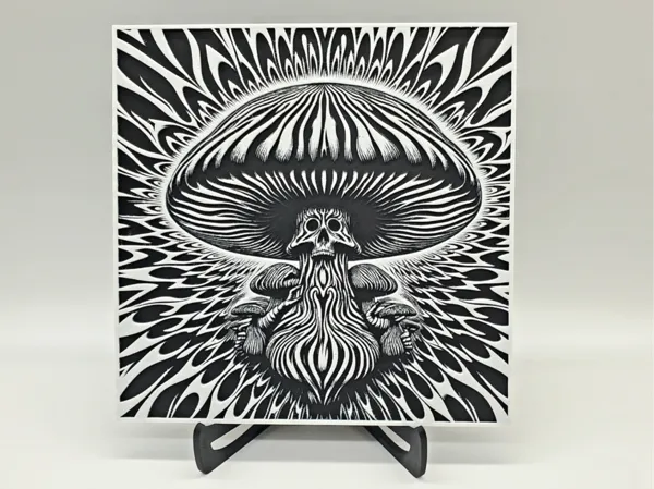 https://makerworld.bblmw.com/makerworld/model/US4c27ae1added97/design/2024-08-22_3b054eee8bde88.jpg