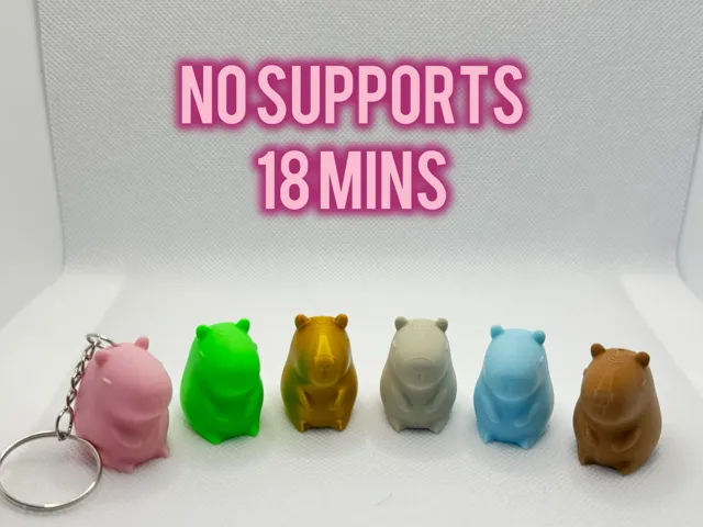 Cute mini capybara