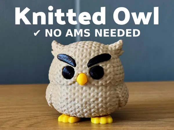 https://makerworld.bblmw.com/makerworld/model/US4c3584d774112c/design/2025-05-11_422d480d000a5.png