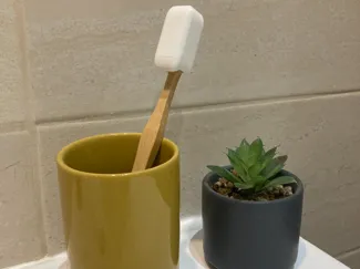 Toothbrush Protector