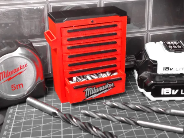 https://makerworld.bblmw.com/makerworld/model/US4c3eec108d2910/design/2025-01-25_9769019979083.jpg