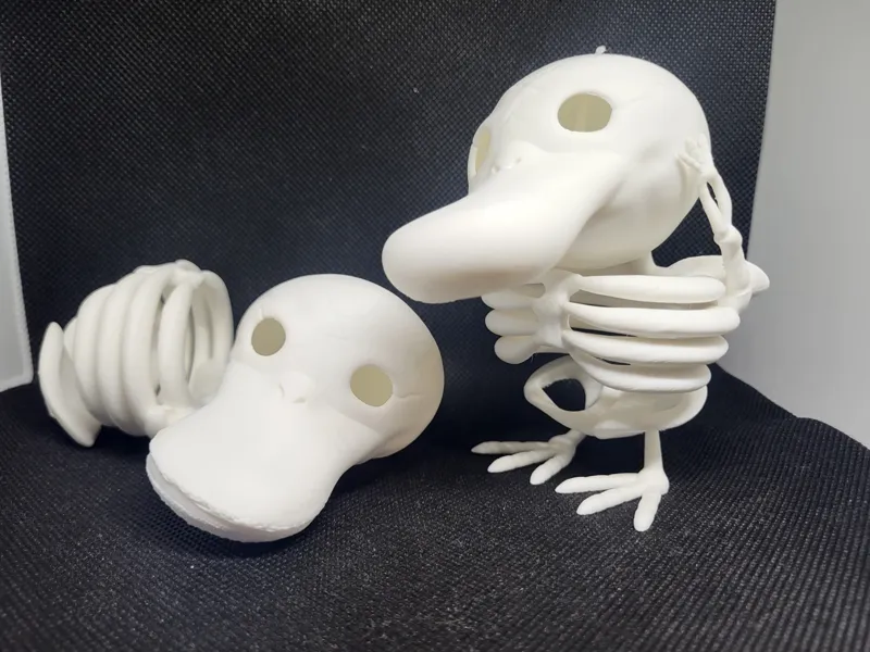 Psyduck skeleton