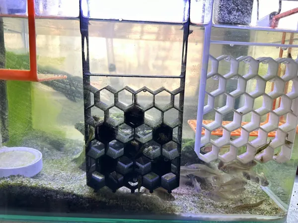 https://makerworld.bblmw.com/makerworld/model/US4c44c9fe010a75/design/2024-03-02_fc47e4379d504.jpg
