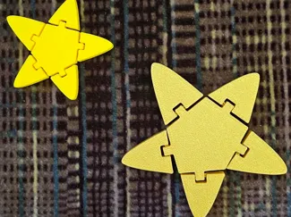 Flexi Star