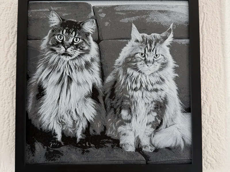 Hueforge Mainecoon