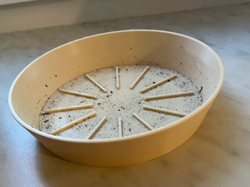 flower pot saucer