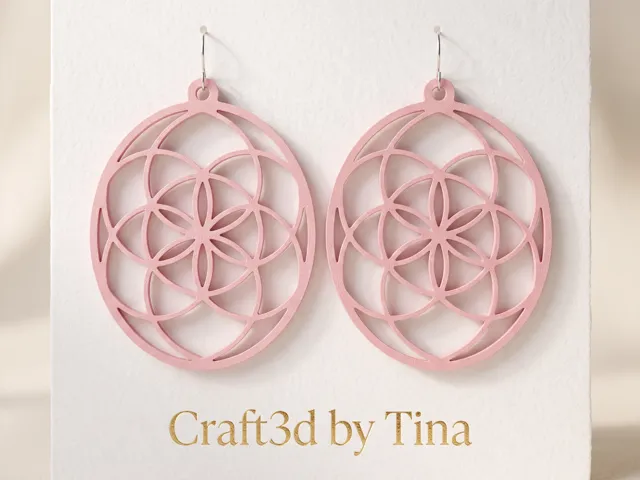 Boucles oreilles 564