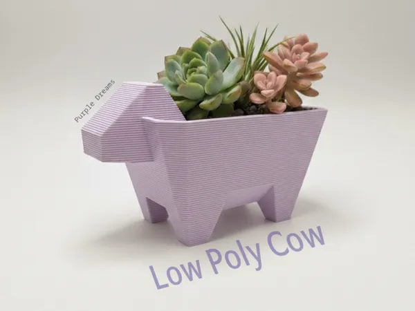https://makerworld.bblmw.com/makerworld/model/US4c50dd5936a189/design/4d572693f5e2b52b.jpeg