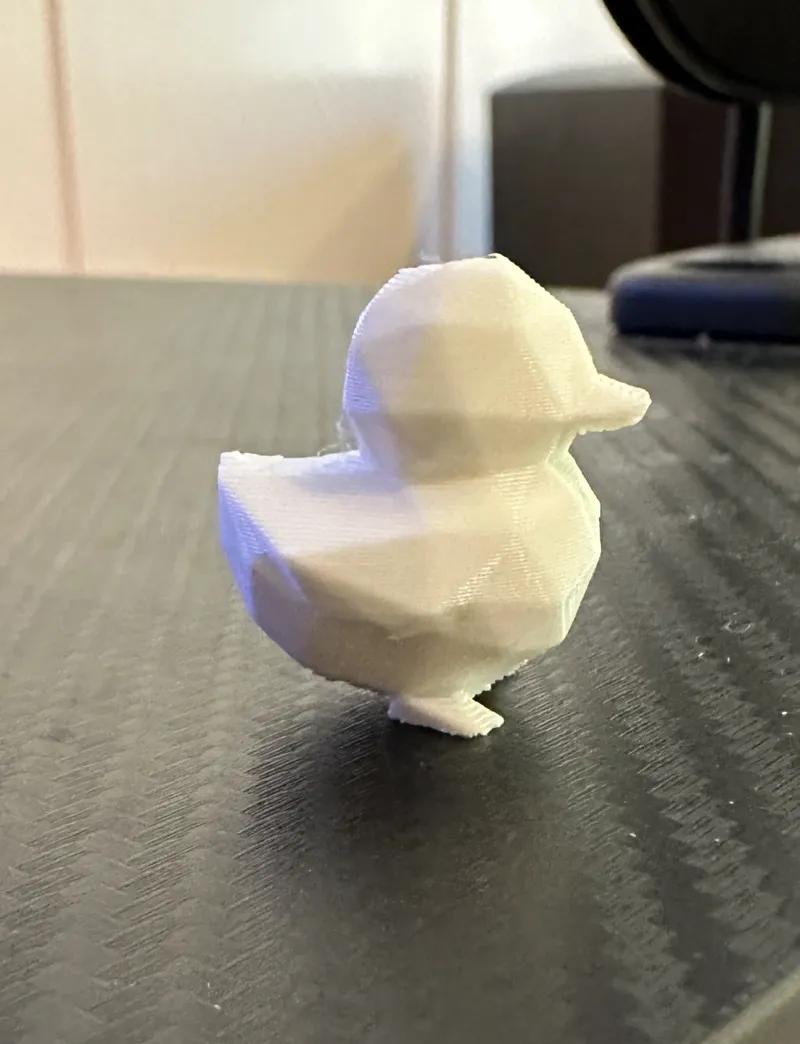 CUTE DUCK LOWPOLY 2G OF FILAMENT