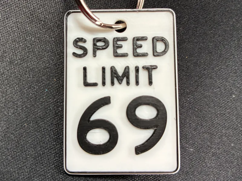 Speed Limit 69 mph keychain
