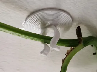 Plant hook
