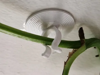 Plant hook
