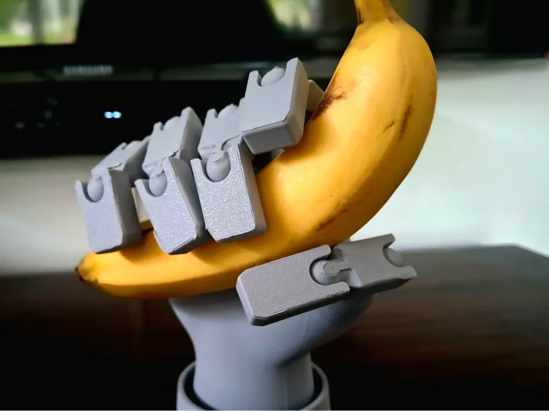 Articulated Hand - Jointed - No supports
