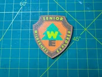 0.2mm layer, 2 walls, 15% infill - face down print